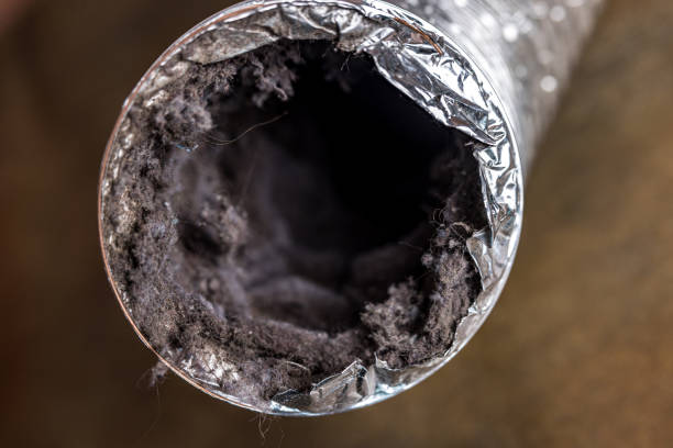 Best Affordable Duct Cleaning Services  in Ocean Grove, NJ